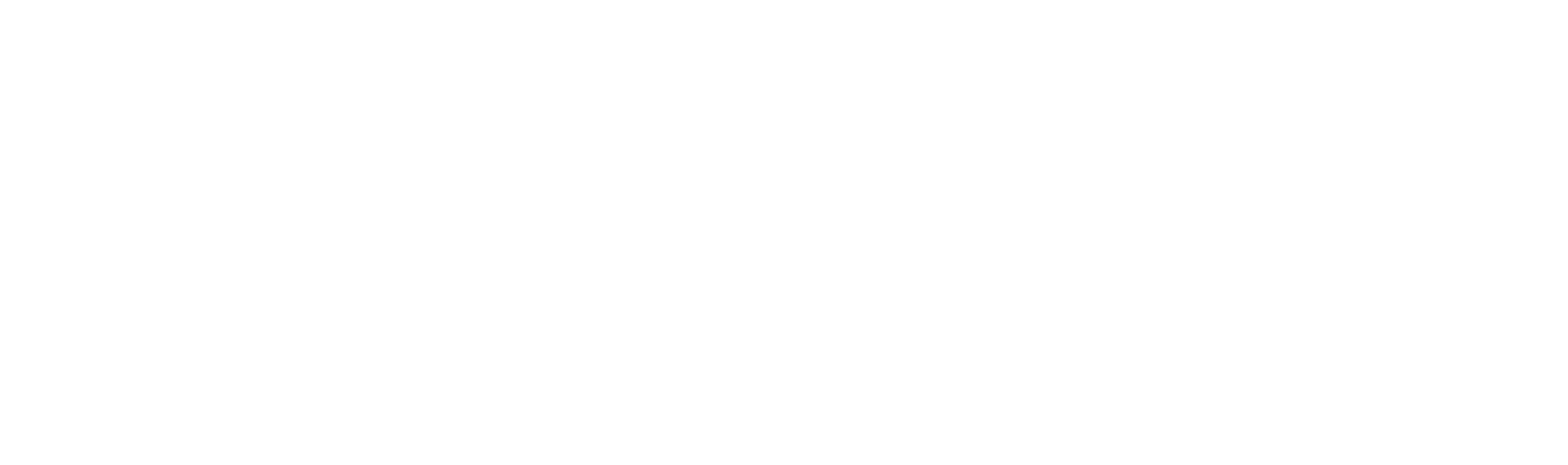 Audible_logo_white