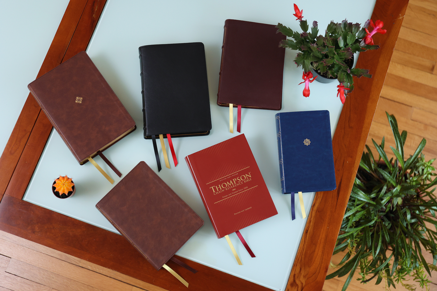 NKJV-Group_9291