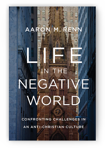 Life in the Negative World by Aaron M. Renn